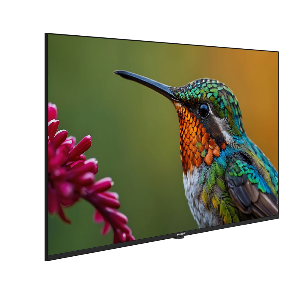 A43HU 500B2-A-BI Hotel Tv