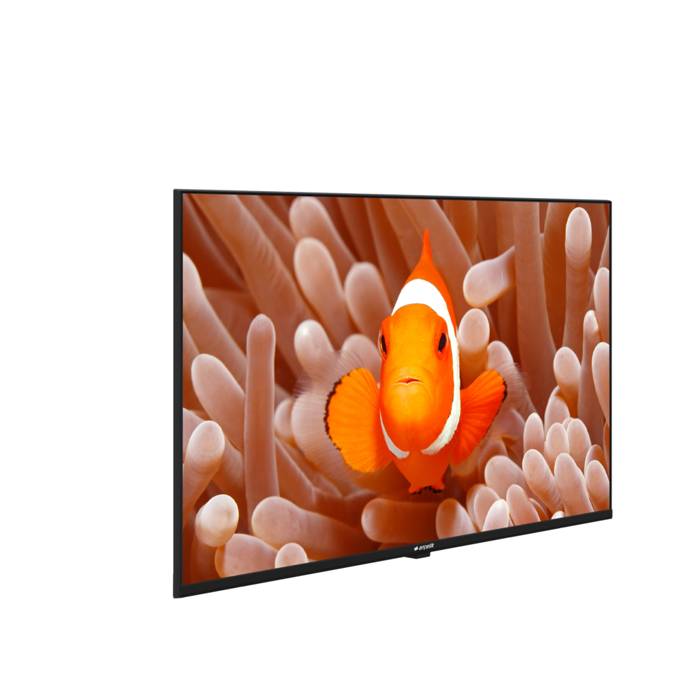 A43HF 500A4-A-BI Hotel Tv