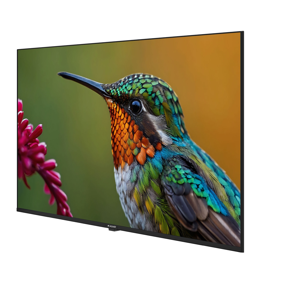 A43HU 500B2-A-BI Hotel Tv